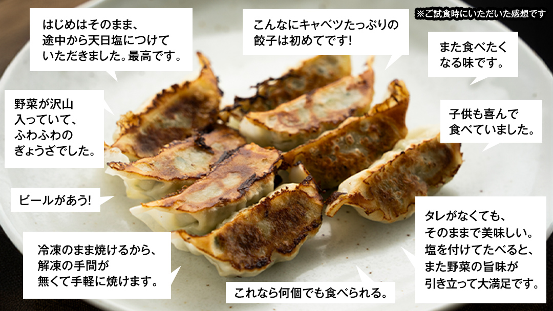 【 定期便 隔月2回 】 まぼろしのキャベツ419使用 ザ・羽生田餃子 15個 × 2パック 計30個 × 2回 ( 合計 60個 ) ぎょうざ 豚肉 ギョウザ 小分け キャベツ 419 特産品 人気 冷凍 中華 中華惣菜 惣菜 大容量 2回 [AL017tu]