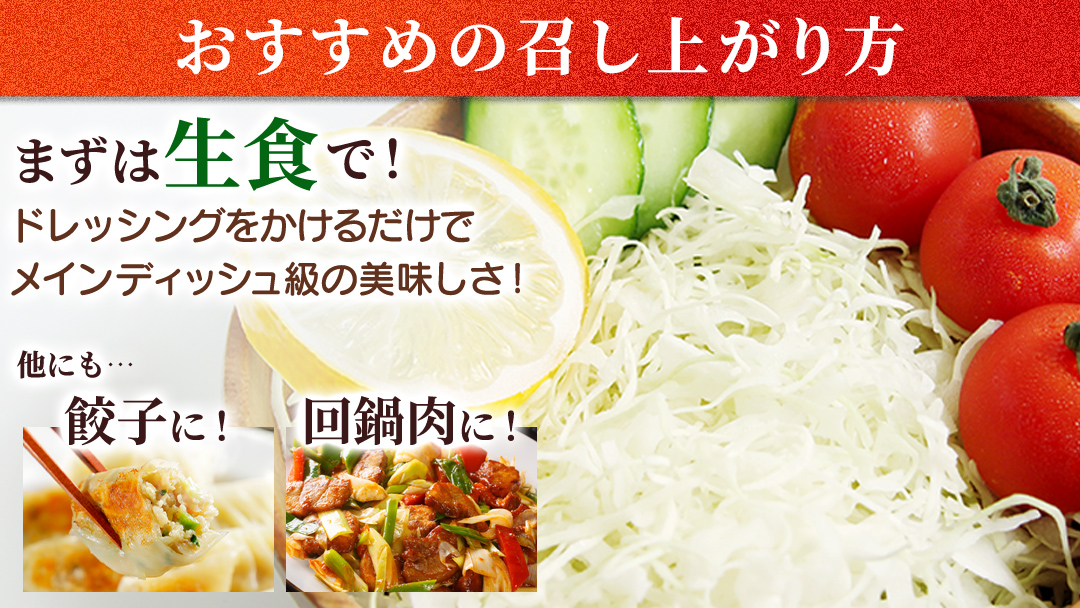 ＜7月中旬発送開始＞ 【 特選 】 まぼろしの419キャベツ 4玉 きゃべつ 嬬恋村産キャベツ 羽生田売店 幻のキャベツ419 産地直送 期間限定 先行予約 人気 朝採り 通販 お取り寄せ 関東 群馬 出荷時期限定 先行受付 [AL021tu]