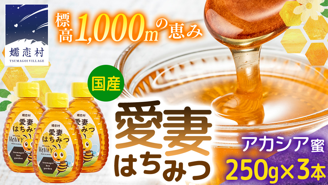 嬬恋村 愛妻はちみつ ( アカシア ) 250g × 3個セット はちみつ 国産 ハチミツ 蜂蜜 群馬 アカシア [AC010tu]