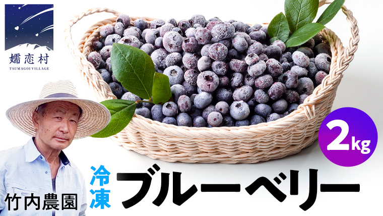 【数量限定】 冷凍ブルーベリー 2kg 国産 群馬県 フルーツ 果物 北軽井沢ブルーベリー園 1kg × 2袋 お取り寄せ 産地直送 ジャム スムージー ヨーグルト [AD003tu]