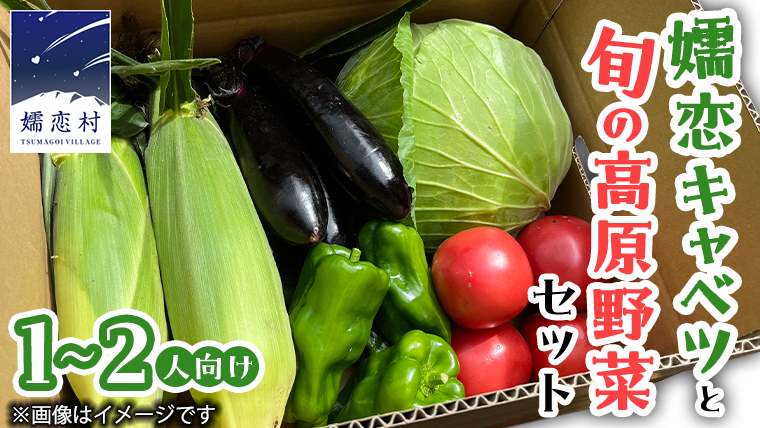 【9/10入金確認分まで】  嬬恋キャベツ と旬の 高原 野菜 セット 1～2人 様向け 旬の野菜 先行予約 キャベツ 群馬 419 嬬恋キャベツ 産地直送 少量 詰め合わせ アソート [AK001tu]