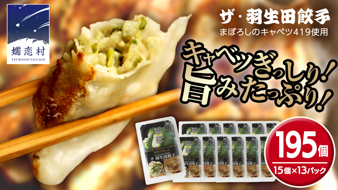 まぼろしのキャベツ419使用 ザ・羽生田餃子 15個 × 13パック 合計195個 ぎょうざ 豚肉 ギョウザ 小分け キャベツ 419 特産品 人気 冷凍 中華 中華惣菜 惣菜 大容量 [AL003tu]