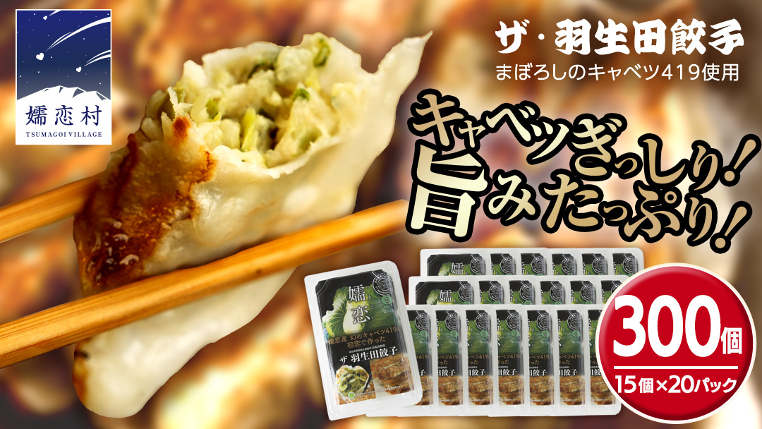 まぼろしのキャベツ419使用 ザ・羽生田餃子 15個 × 20パック 合計300個 ぎょうざ 豚肉 ギョウザ 小分け キャベツ 419 特産品 人気 冷凍 中華 中華惣菜 惣菜 大容量 [AL004tu]