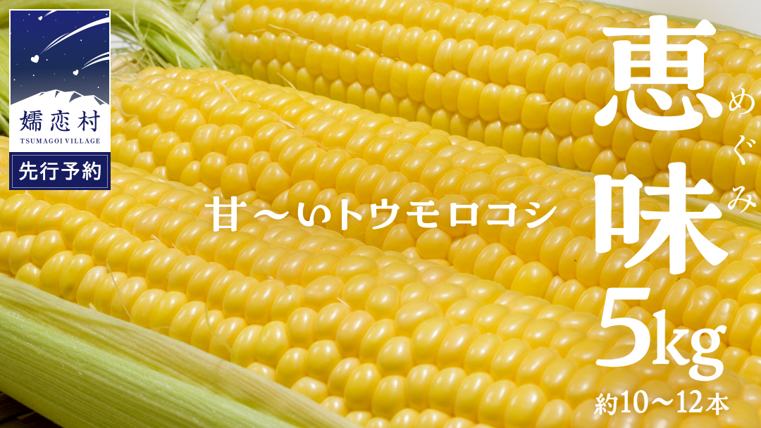 甘～いトウモロコシ 恵味 5kg 約10～12本 とうもろこし 産地直送 期間限定 先行予約 人気 朝採り お取り寄せ 関東 群馬  [AL005tu]: 嬬恋村ANAのふるさと納税