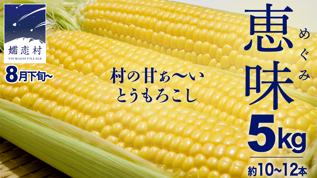【8月下旬発送開始】 甘～いトウモロコシ 恵味 5kg 約10～12本 とうもろこし 産地直送 羽生田売店 期間限定 先行予約 人気 朝採り お取り寄せ 関東 群馬 先行受付 [AL005tu02]