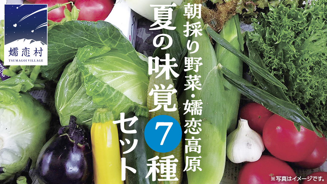 朝採り野菜 嬬恋高原 夏の味覚7種セット 高原野菜セット 産地直送 きゃべつ 嬬恋村産キャベツ 羽生田売店 期間限定 先行予約 人気 朝採り お取り寄せ 関東 群馬 [AL008tu]