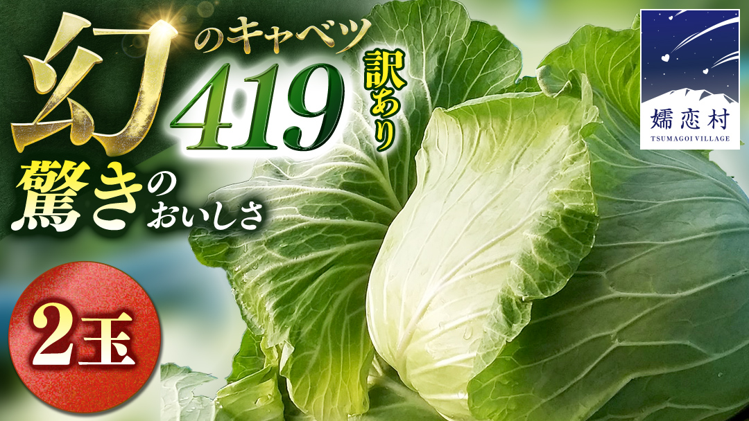 【7月中旬発送開始】 訳あり まぼろしの419キャベツ 2玉 きゃべつ 嬬恋村産キャベツ 羽生田売店 幻のキャベツ419 産地直送 期間限定 人気 朝採り 通販 お取り寄せ 関東 群馬 出荷時期限定 先行予約 [AL014tu]