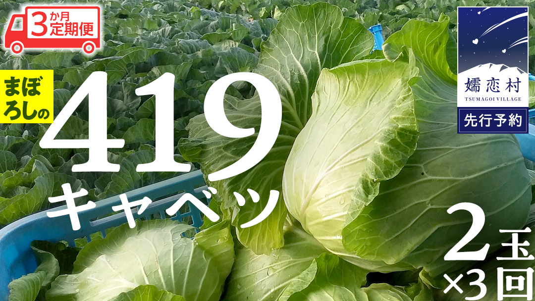 【 2025年 7月中旬 発送開始 】 《 3か月 定期便 》まぼろしの419キャベツ 2玉 3カ月 きゃべつ 嬬恋村産キャベツ 羽生田売店 幻のキャベツ419 産地直送 期間限定 先行予約 人気 朝採り 通販 お取り寄せ 関東 群馬 出荷時期限定 先行受付 [AL015tu]