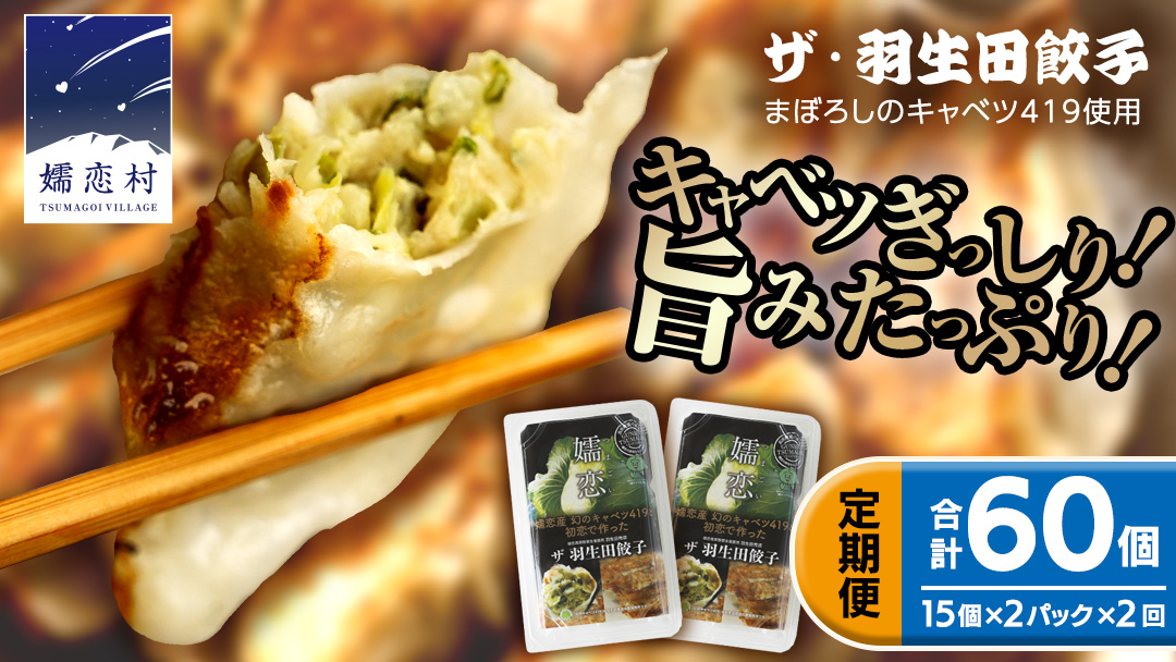 【 定期便 隔月2回 】 まぼろしのキャベツ419使用 ザ・羽生田餃子 15個 × 2パック 計30個 × 2回 ( 合計 60個 ) ぎょうざ 豚肉 ギョウザ 小分け キャベツ 419 特産品 人気 冷凍 中華 中華惣菜 惣菜 大容量 2回 [AL017tu]