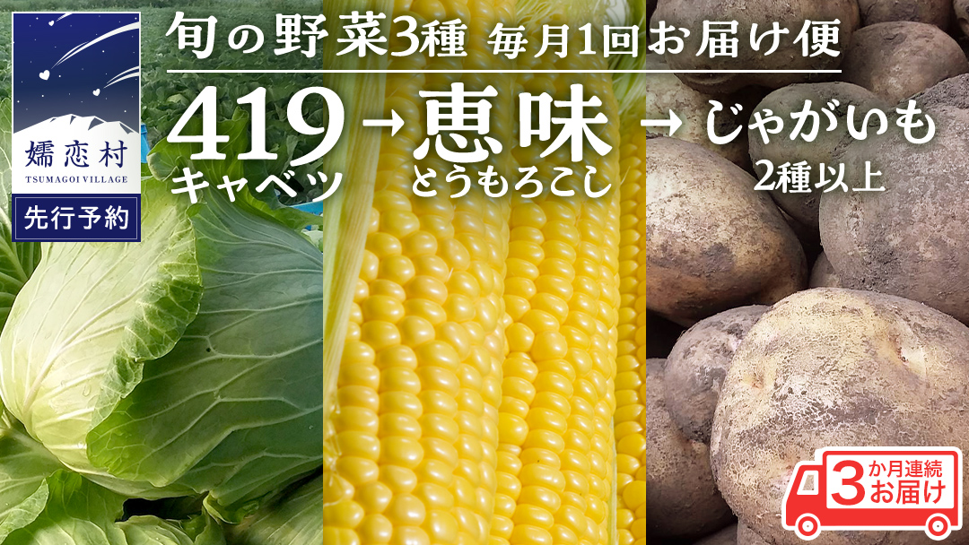 【 2025年 7月 発送開始 】 《3か月定期便》旬の野菜3種 419キャベツ 恵味トウモロコシ じゃがいも きゃべつ 嬬恋村産キャベツ 羽生田売店 幻のキャベツ419 産地直送 期間限定 先行予約 人気 朝採り 通販 お取り寄せ 関東 群馬 出荷時期限定 先行受付 [AL018tu]