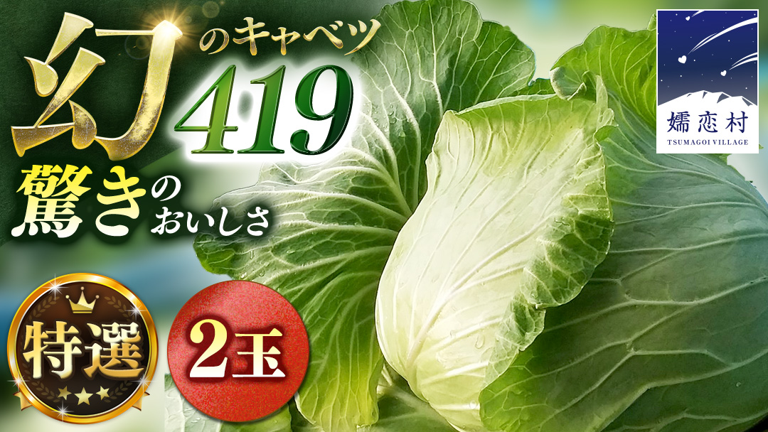 ＜7月中旬発送開始＞【 特選 】 まぼろしの419キャベツ 2玉 きゃべつ 嬬恋村産キャベツ 羽生田売店 幻のキャベツ419 産地直送 期間限定 先行予約 人気 朝採り 通販 お取り寄せ 関東 群馬 出荷時期限定 先行受付 [AL020tu]