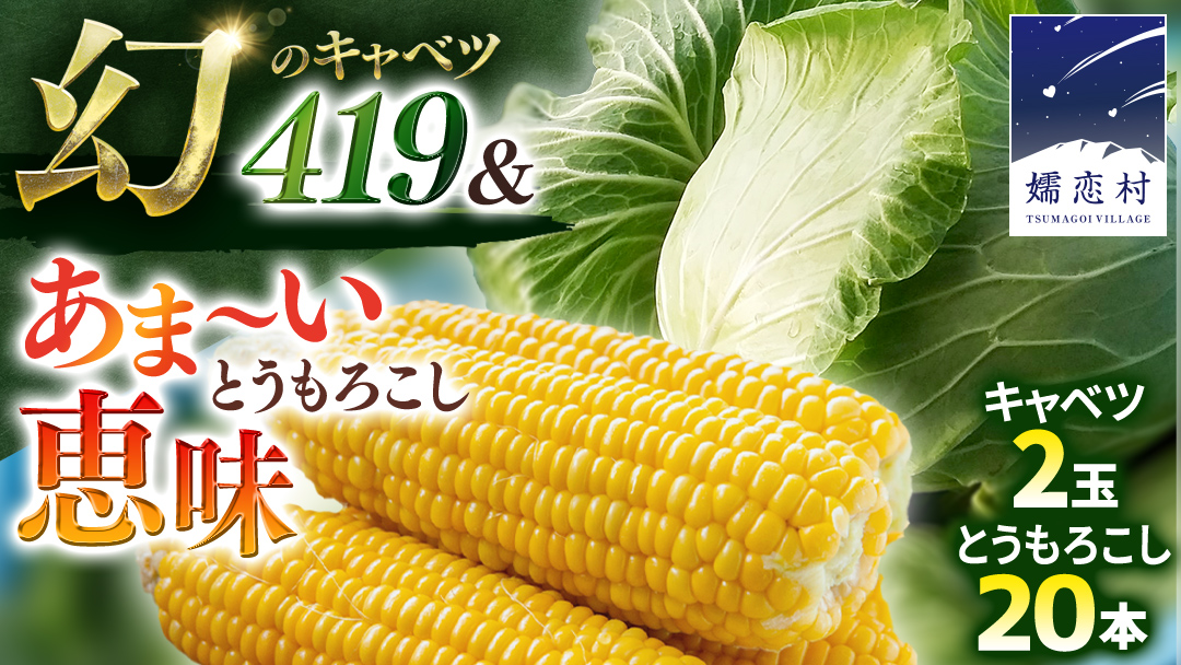 ＜ 8月上旬 発送開始 ＞ 朝採り野菜 人気2種セット まぼろしの419キャベツ 2玉 と 甘～いトウモロコシ 恵味 20本 とうもろこし きゃべつ キャベツ トウモロコシ 嬬恋村産キャベツ 幻のキャベツ419 産地直送 羽生田売店 期間限定 人気 朝採り お取り寄せ 関東 群馬 先行予約 通販 出荷時期限定 [AL022tu]