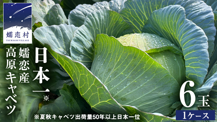 【7月中旬発送開始】 嬬恋キャベツ 嬬恋産 高原 キャベツ 6玉 1ケース 旬の野菜 きゃべつ 産地直送 群馬 お取り寄せ 野菜 セット Lサイズ ZIP! 先行予約 2026年発送 [AS007tu]