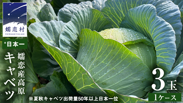 嬬恋キャベツ 嬬恋産 高原キャベツ3玉1ケース 旬の野菜 きゃべつ 産地直送 群馬 お取り寄せ 野菜 セット Lサイズ [AS010tu]