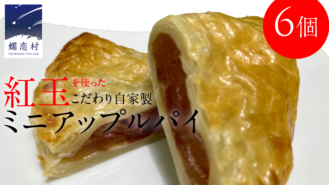 Piggies特製 ミニ アップルパイ 6個 自家製 ケーキ パイ おやつ 焼菓子 焼き菓子 リンゴ スイーツ ホール お取り寄せ お菓子 洋菓子 りんご ギフト 贈り物 [BL011tu]