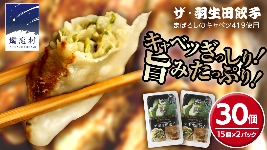 まぼろしのキャベツ419使用 ザ・羽生田餃子 15個 × 2パック 合計30個 ぎょうざ 豚肉 ギョウザ 小分け キャベツ 419 特産品 人気 冷凍 中華 中華惣菜 惣菜 大容量 [AL001tu]