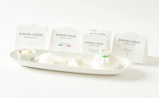 4種のチーズとヨーグルトセット【配送不可地域：離島】