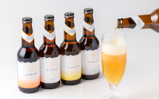 4種のビールとモッツァレラセット【配送不可地域：離島】