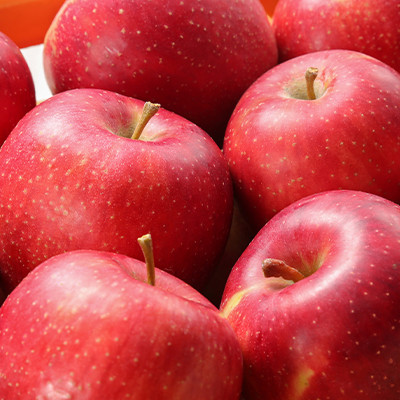 川場村ふるさと納税感謝券(15枚)