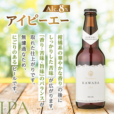 IPA　12本セット