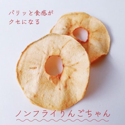 手作りおやつセット◎群馬県川場村産ドライフルーツ りんご ブルーベリー クッキー ジャム  スイーツ