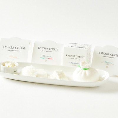 【毎月定期便】4種のチーズとヨーグルトセット全3回【配送不可地域：離島】