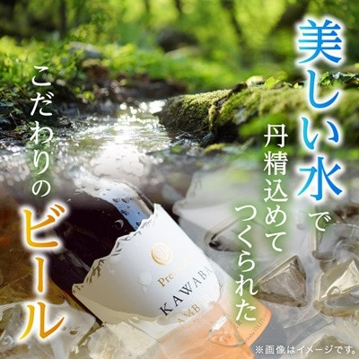 【毎月定期便】川場ビール詰め合わせセット(4種×各3本)全3回