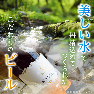 カワバエール　24本セット