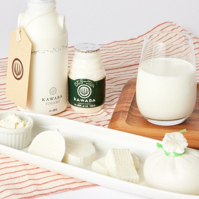 【毎月定期便】4種のチーズとヨーグルトセット全3回【配送不可地域：離島】