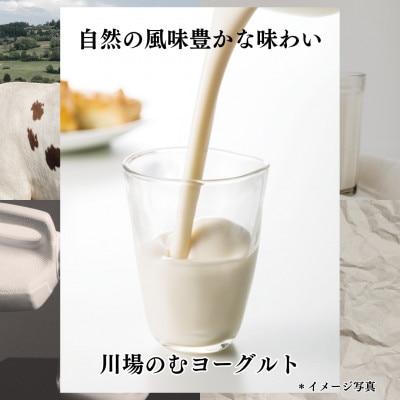 川場のむヨーグルト10本＆アップルパイ5個　セット【配送不可地域：離島・沖縄県】