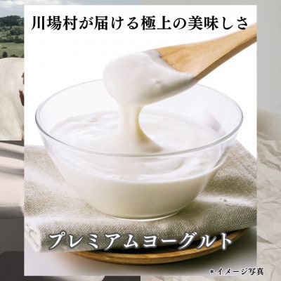 【毎月定期便】2種類のヨーグルトセット(16本)全3回【配送不可地域：離島】