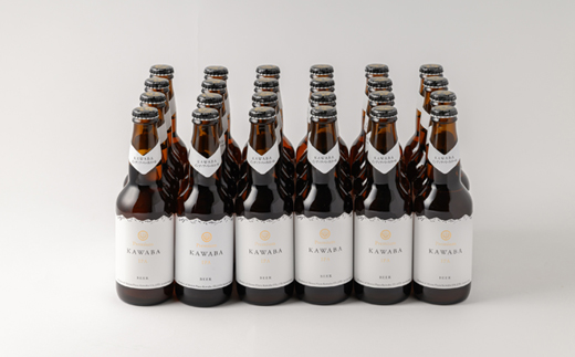 IPA　24本セット