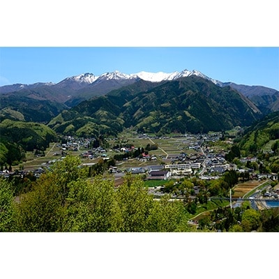 Premium KAWABA IPA (インディアンペールエール)750ml 1本