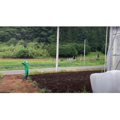 利根沼田の座敷箒(生品箒) ヤロウ箒