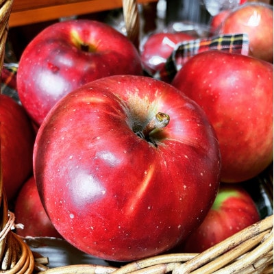 完熟りんごたっぷり 果樹園カフェのアップルパイ 5号(5～6人用)【配送不可地域：離島・北海道・沖縄県・中国・四国・九州】