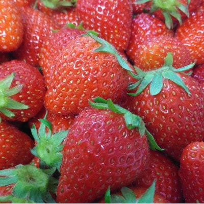 フルーツバター　苺と林檎　140グラム　各2本【配送不可地域：離島】