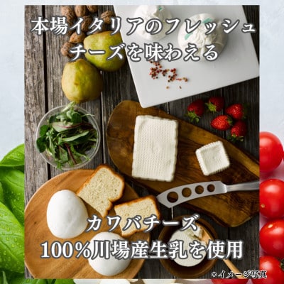 【毎月定期便】4種のチーズとヨーグルトセット全3回【配送不可地域：離島】