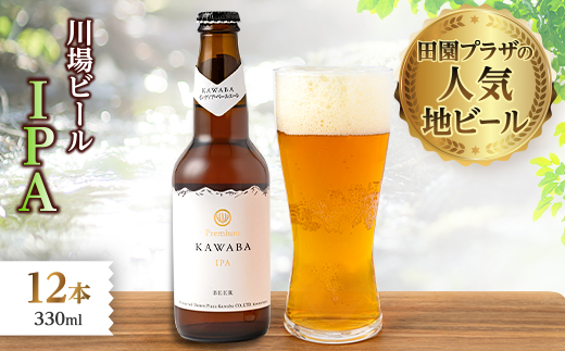 IPA　12本セット