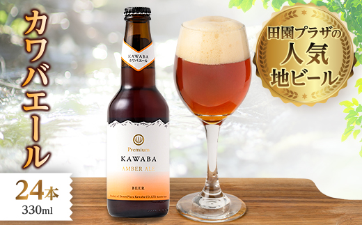 カワバエール　24本セット