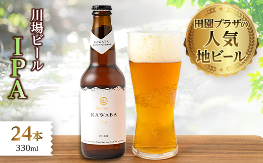 IPA　24本セット