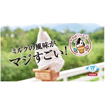 かわばジェラート詰め合わせ(6個入り)【配送不可地域：離島】