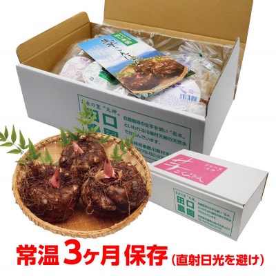 【贈答用】川場村産《生芋こんにゃく》セット(小)