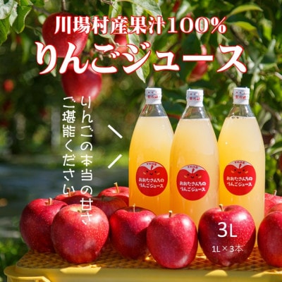 【川場村直送】ストレートりんごジュース1000ml×3本入り