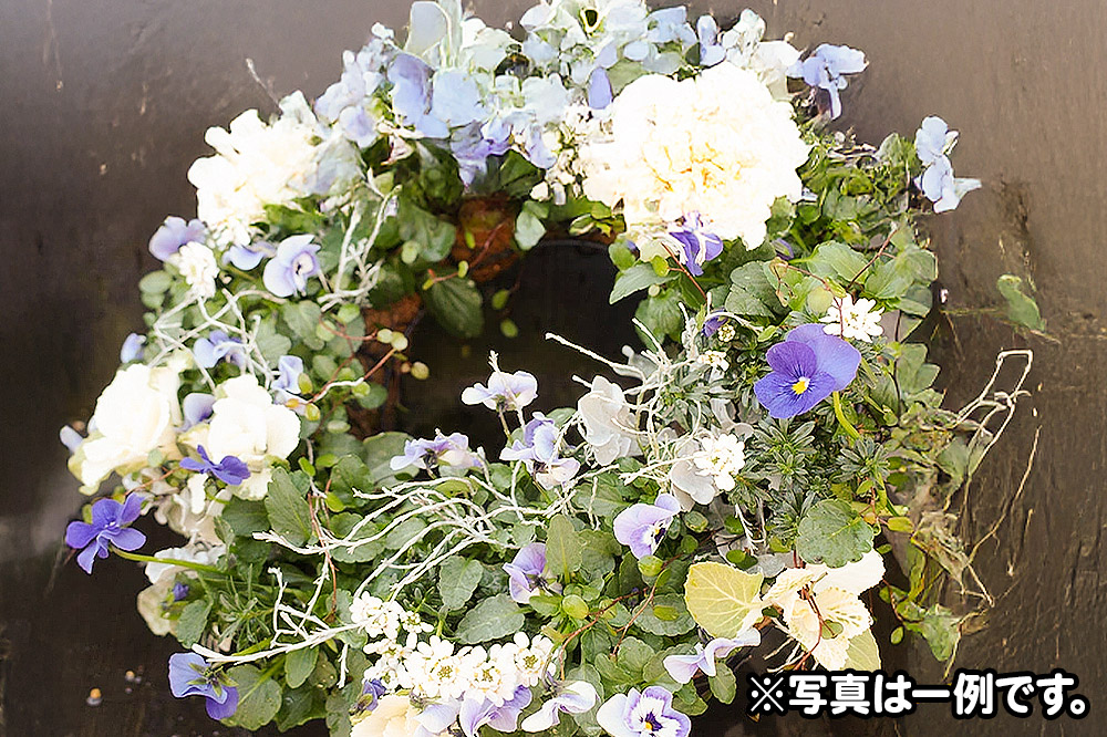ハンギングリース　季節のアレンジ (寒色系) 直径約40cm【生花 ビオラ インテリア 玄関 バスケット 寄せ植え プレゼント 贈り物】