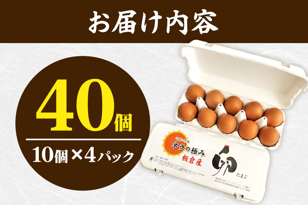 ネラの極み 卵 たまご 40個（10個×4パック）
