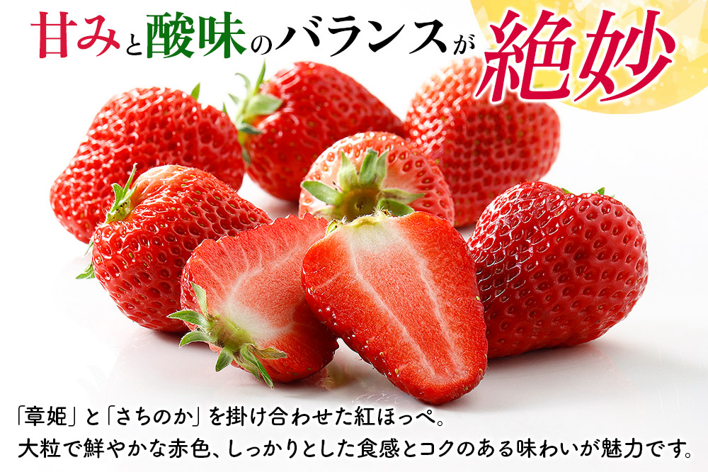 【東北・関東・東海・北陸・近畿 限定配送】いちご「紅ほっぺ」９粒～ (2パック計830g以上)【12月中旬から順次発送】イチゴ 苺 あまい １粒35g以上の特大粒を厳選 産地直送ならではの大きさと赤さ 一般市場には流通しない厳選のいちご 数量限定