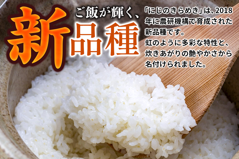 令和7年産《新米》【白米】群馬県 板倉町産 にじのきらめき 10kg（5kg×2袋）