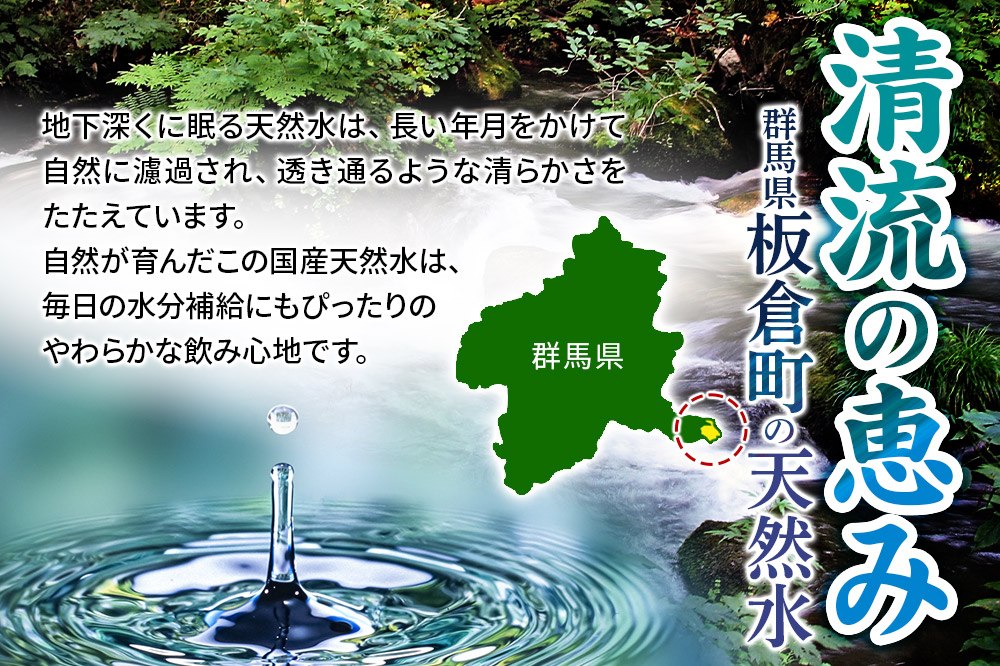 水 《定期便2ヶ月》国産 ミネラルウォーター ピュアの森 500ml 24本×1箱 天然水 軟水 ペットボトル ラベルあり
