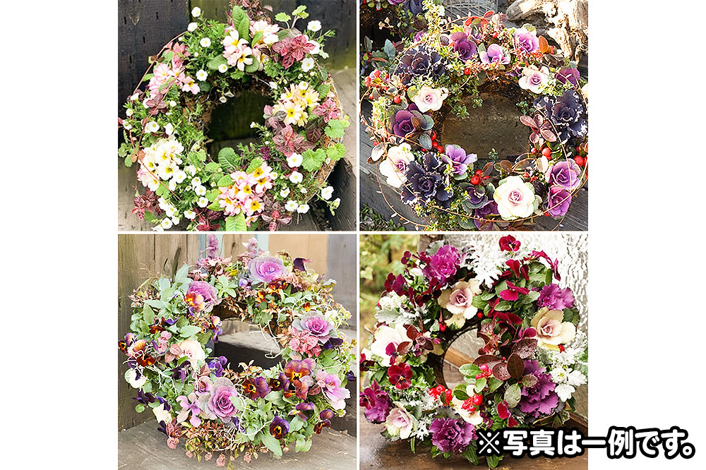 ハンギングリース　季節のアレンジ (暖色系) 直径約40cm【生花 ビオラ インテリア 玄関 バスケット 寄せ植え プレゼント 贈り物】