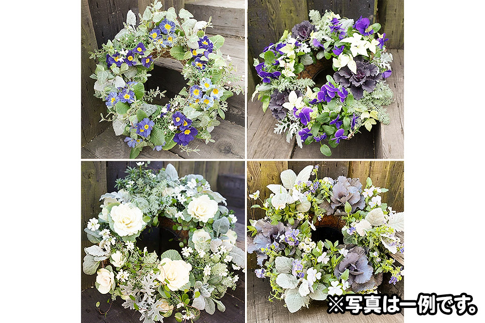 ハンギングリース　季節のアレンジ (寒色系) 直径約40cm【生花 ビオラ インテリア 玄関 バスケット 寄せ植え プレゼント 贈り物】
